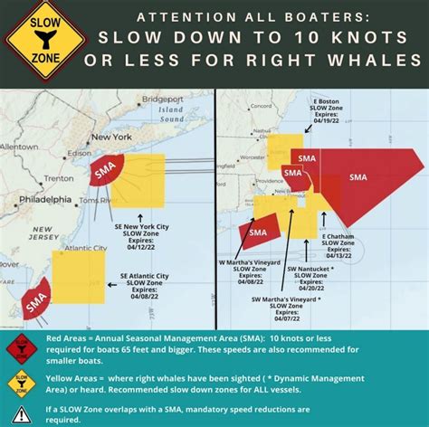 noaa right whale speed limit